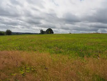 Ferme de la Planche (barefoot path) (België)